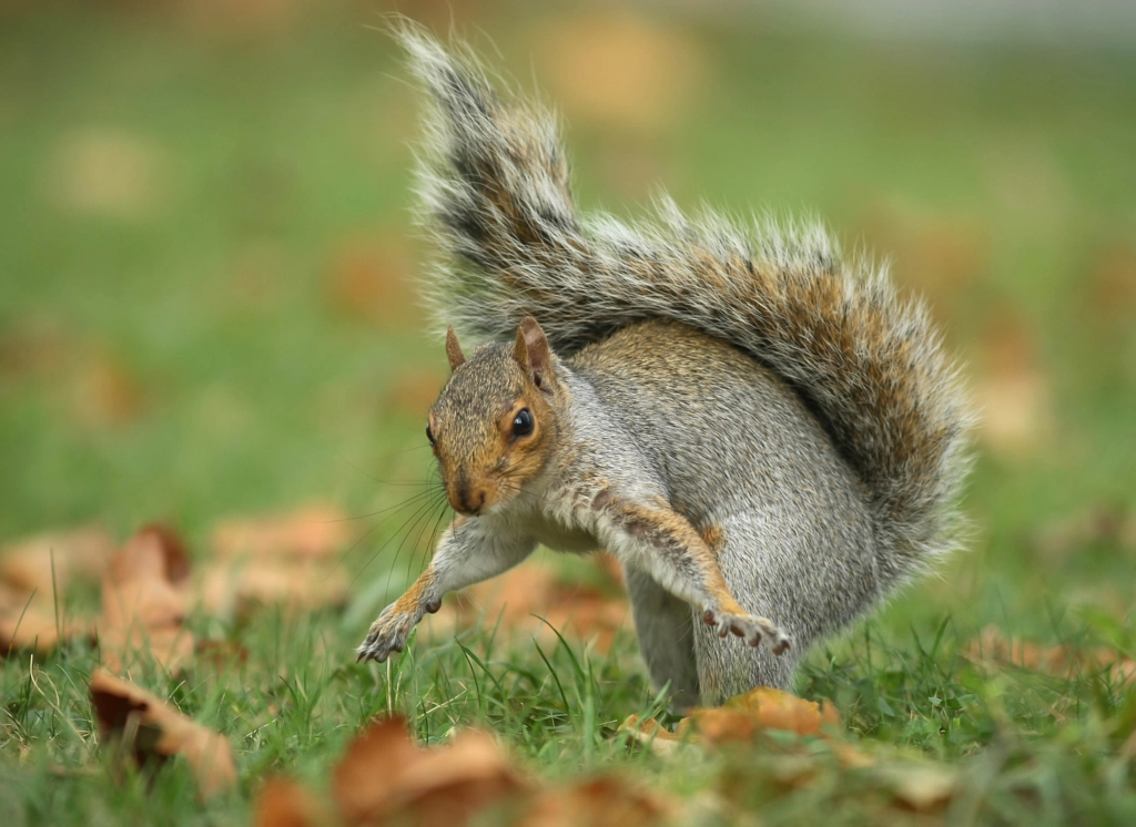 it's Mine! by Eddie Yu on 500px.com