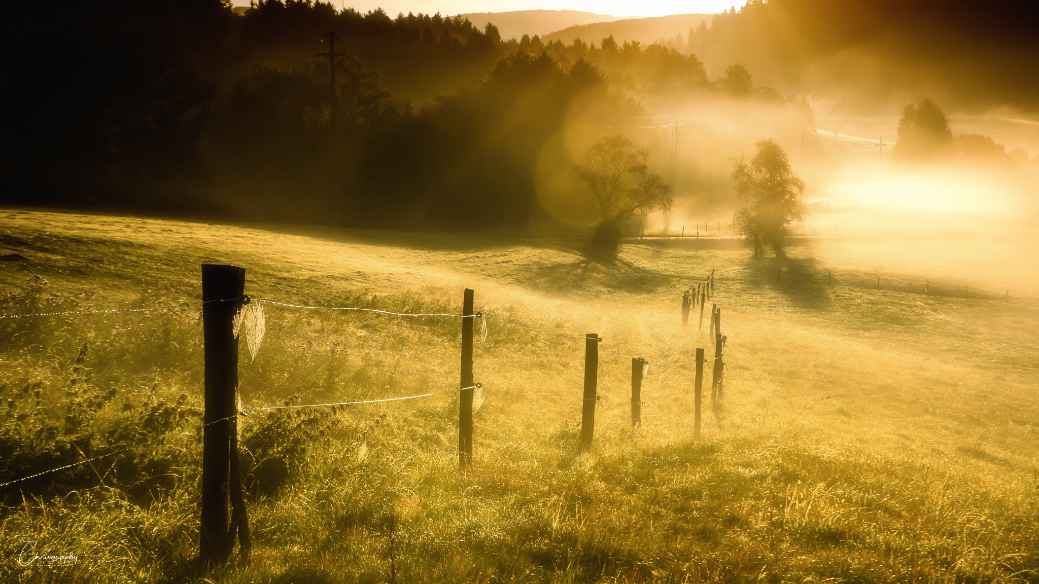 Altweibersommer