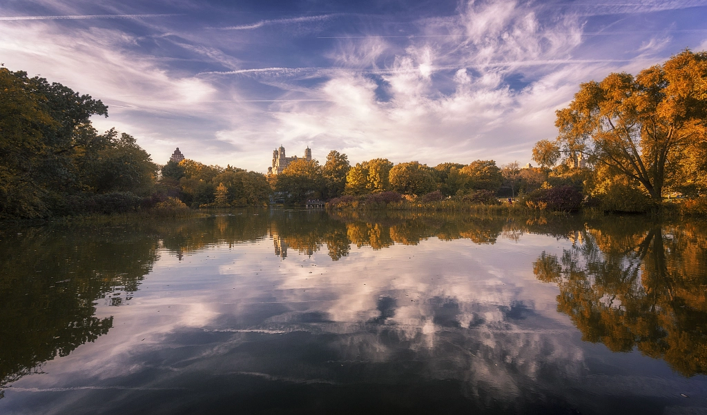 Turtle Pond Reflections by Jason Hagani on 500px.com