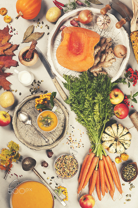 Vegetable (or pumpkin) soup and ingredients