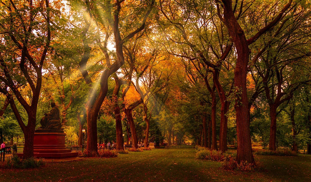 NYC photowalk by Serge Ramelli on 500px.com