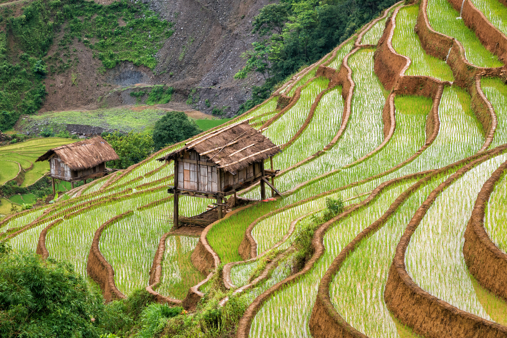 Mu Cang Chai, Vietnam by Dale Johnson / 500px