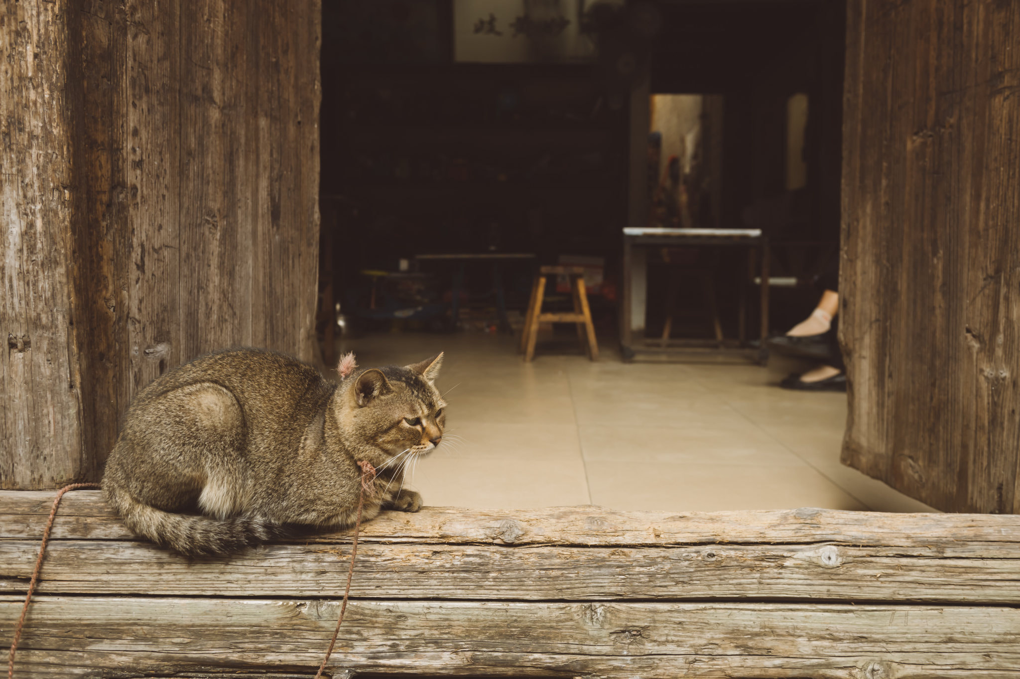 v2?sig=bc4ca4f5e9d8a31f1b3f1885054818cffb9e1c704f8bd5121cee1e157011b2ad