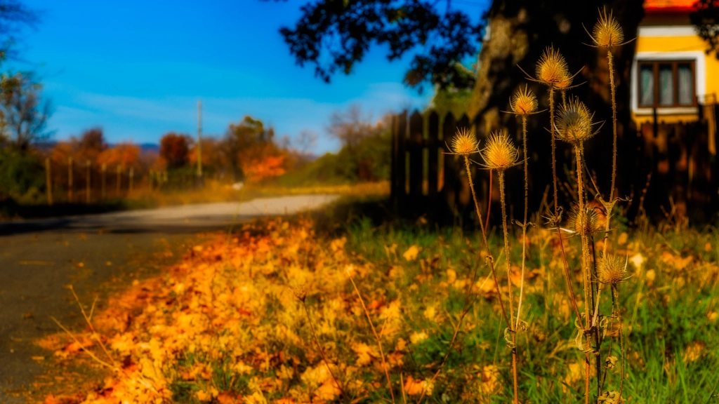 Autumn Impressions by Milen Mladenov on 500px.com
