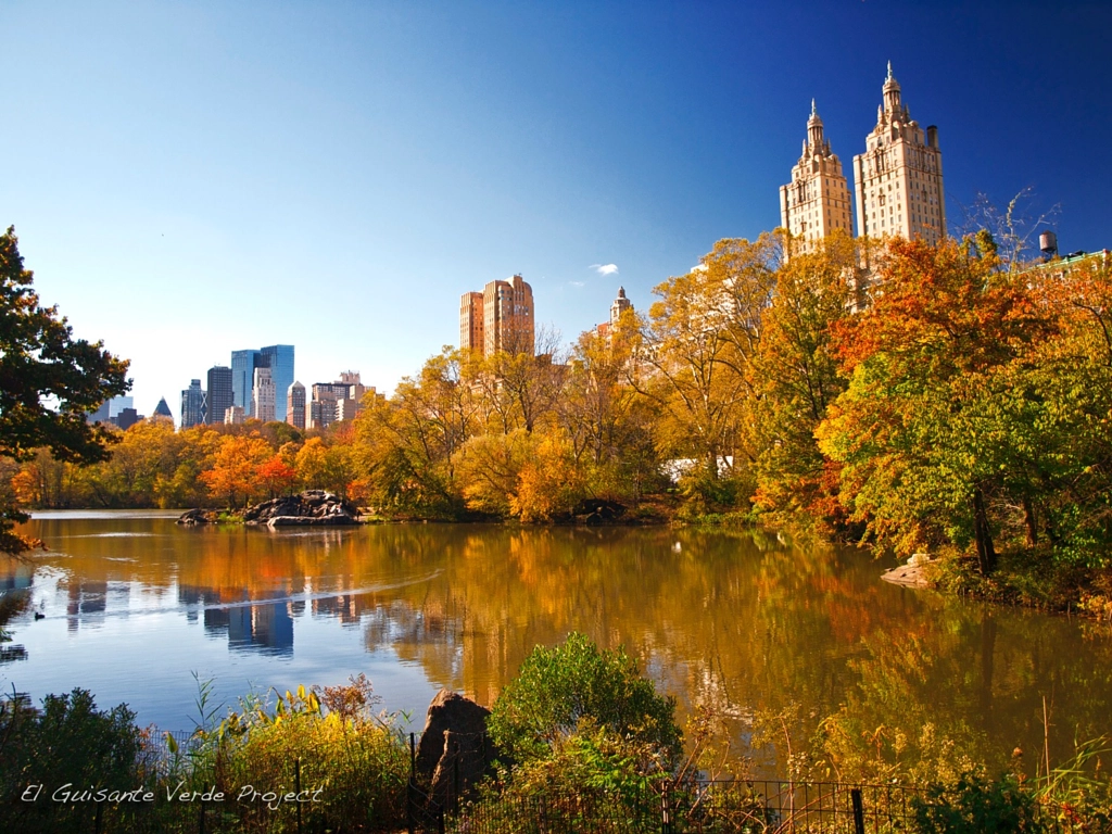 Autumn In New York City (Gallery) - Hello, Big Apple