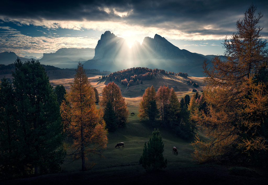 A New Start by Max Rive on 500px.com