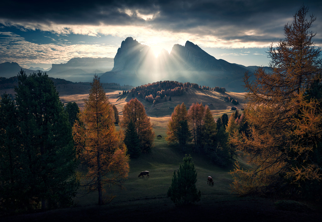 A New Start by Max Rive
