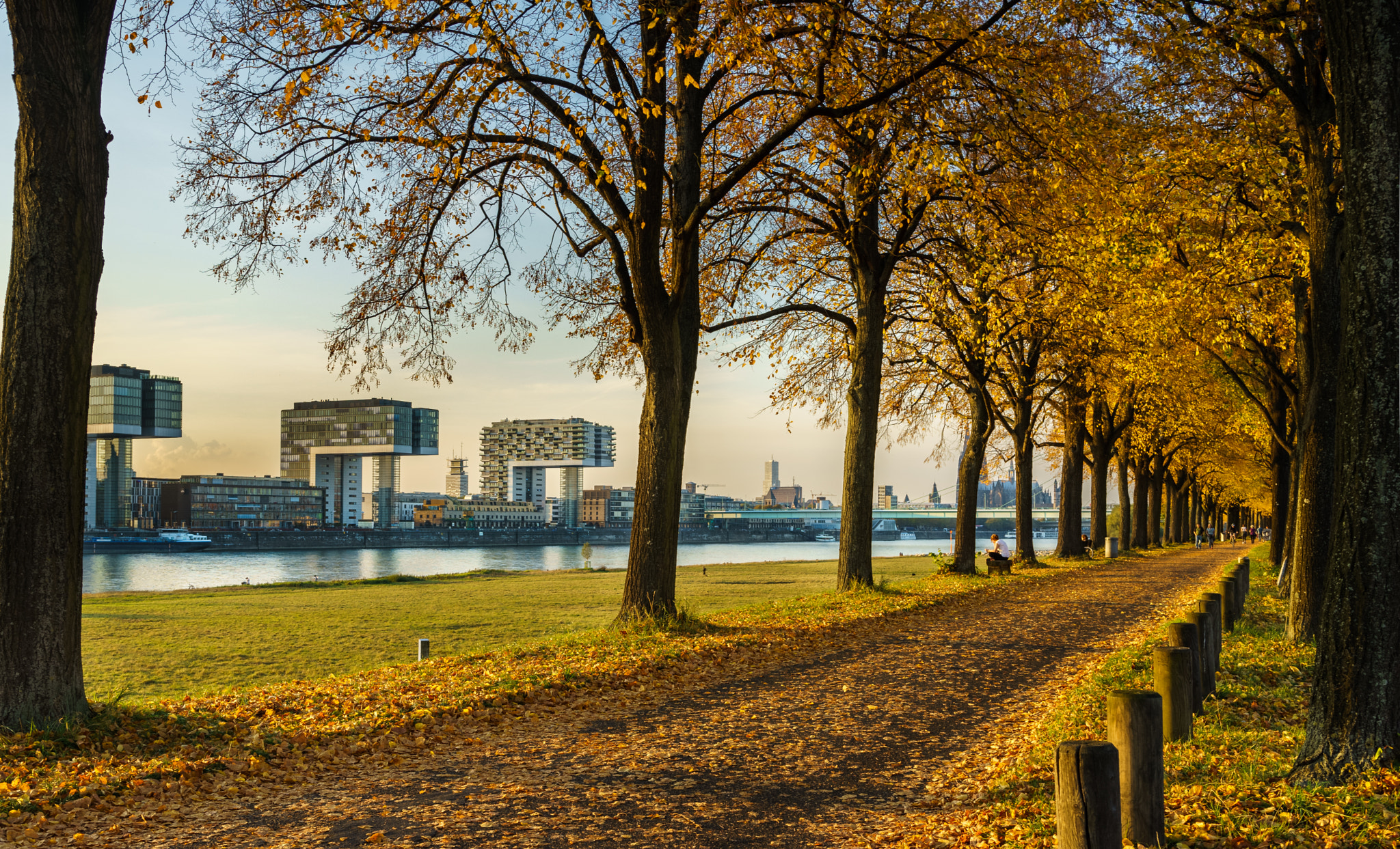 Autumn in the City