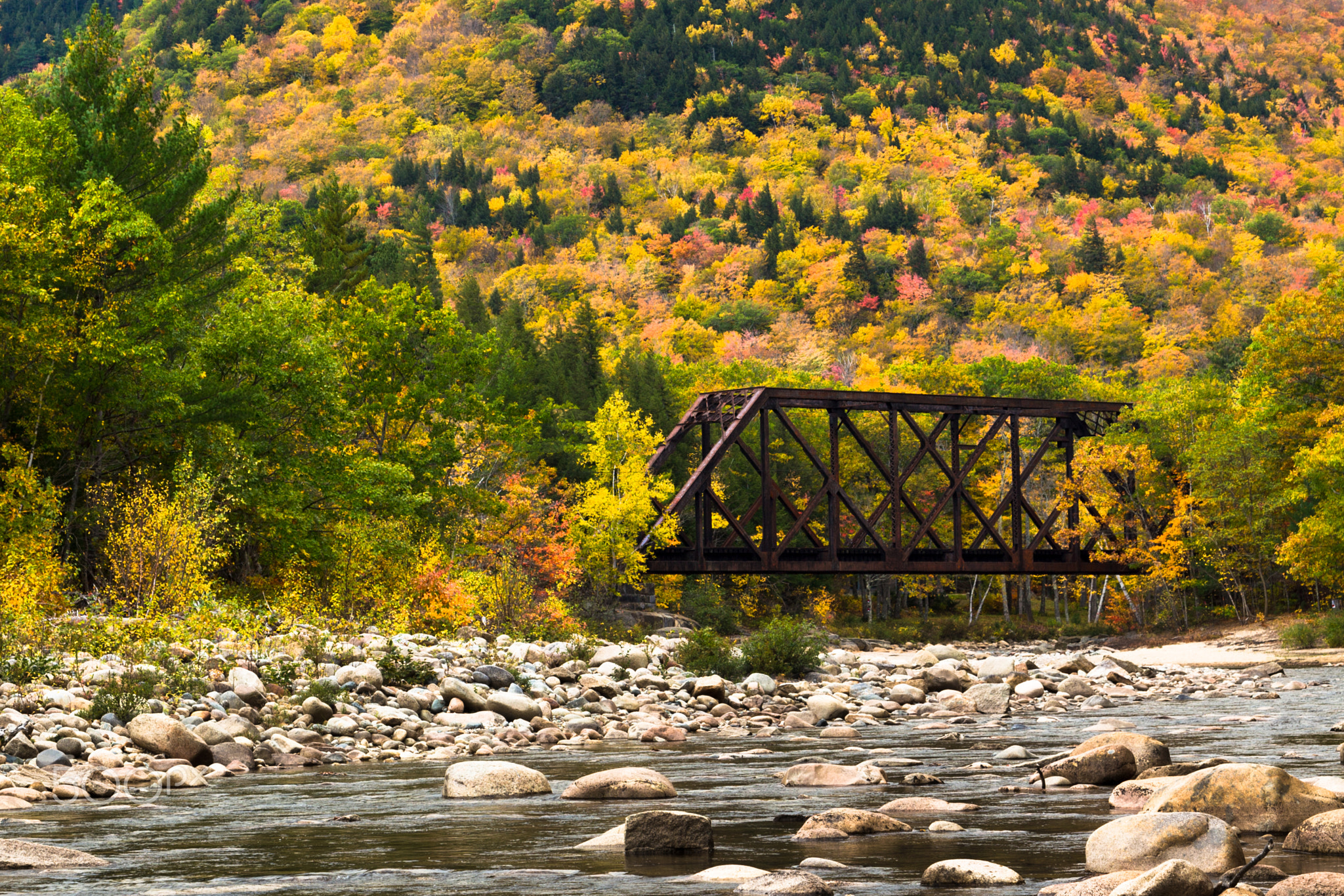 Foliage @ Second Iron Bridge Bartlett, NH