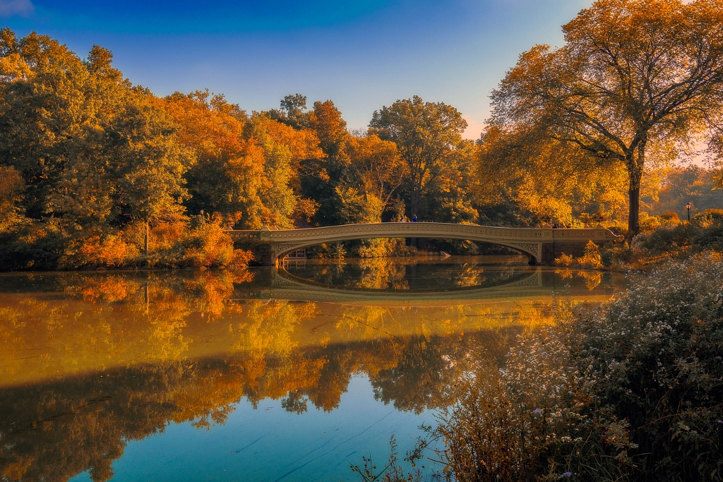 Bow Bridge by Joe Matzerath on 500px.com