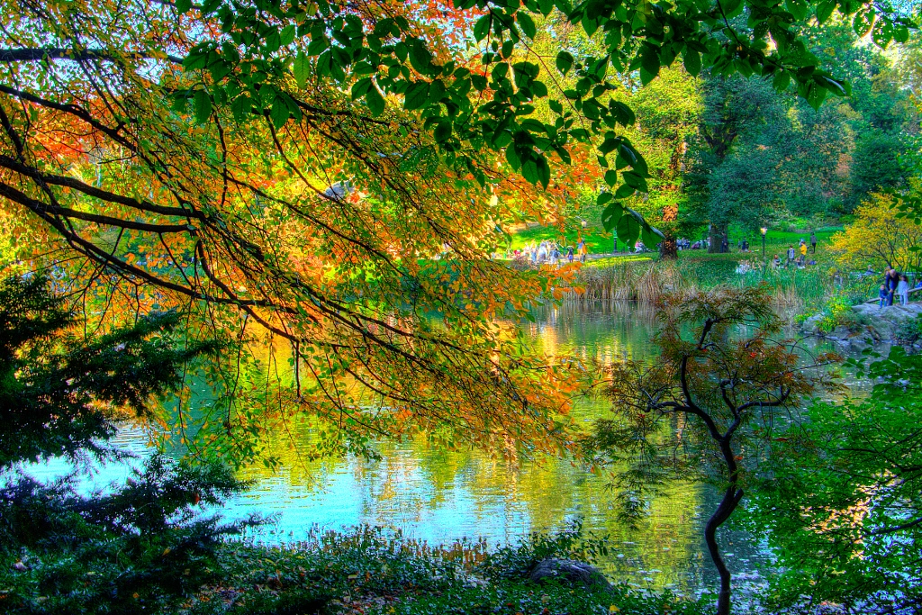 Fall in the Park by sjaragona on 500px.com