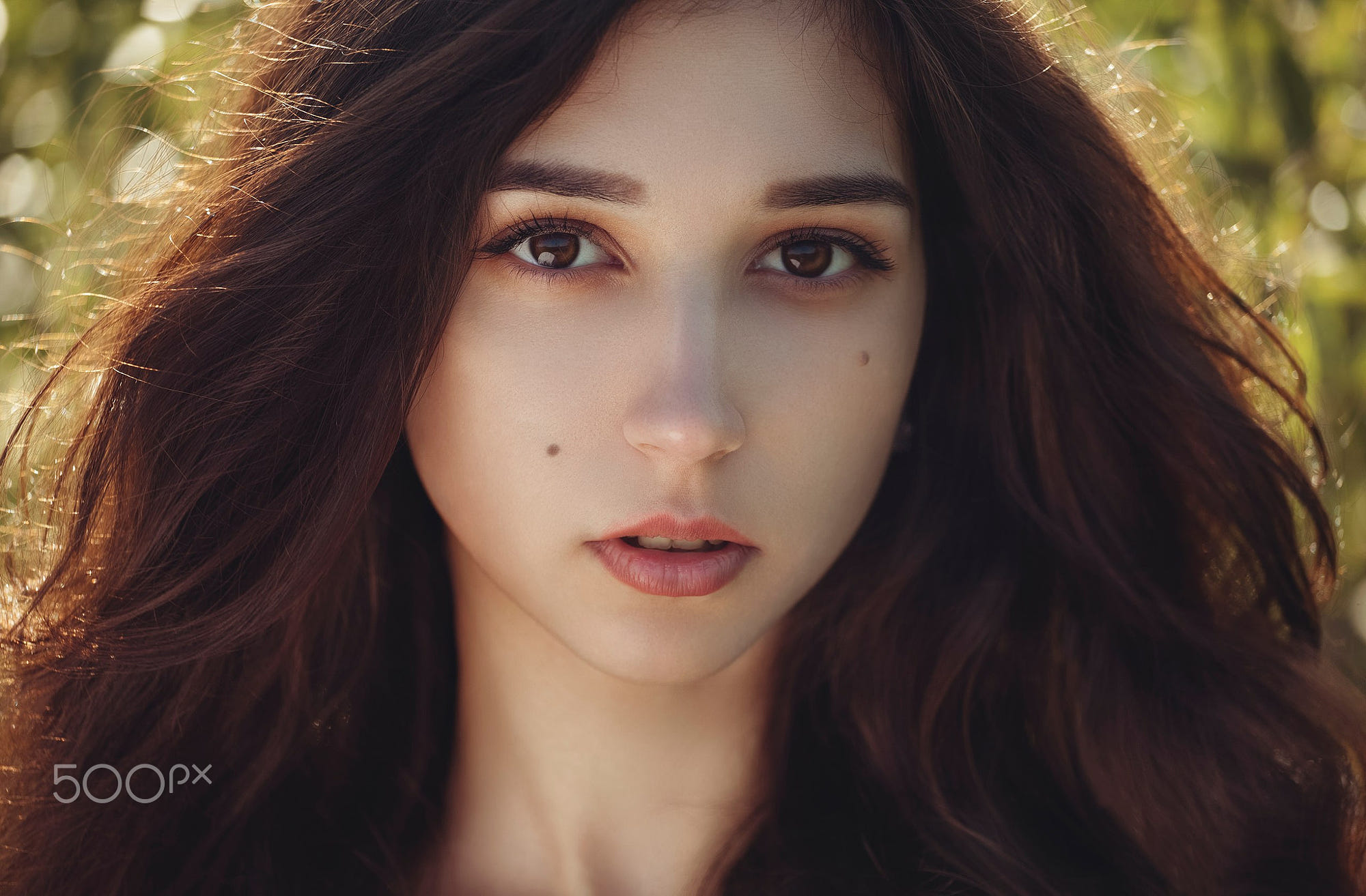 [verlinkte Grafik wurde nicht gefunden]