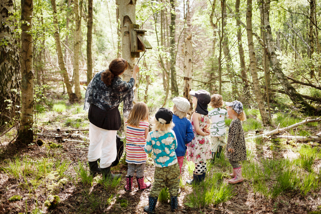 Natural Science by Rolf-Göran Åström on 500px.com