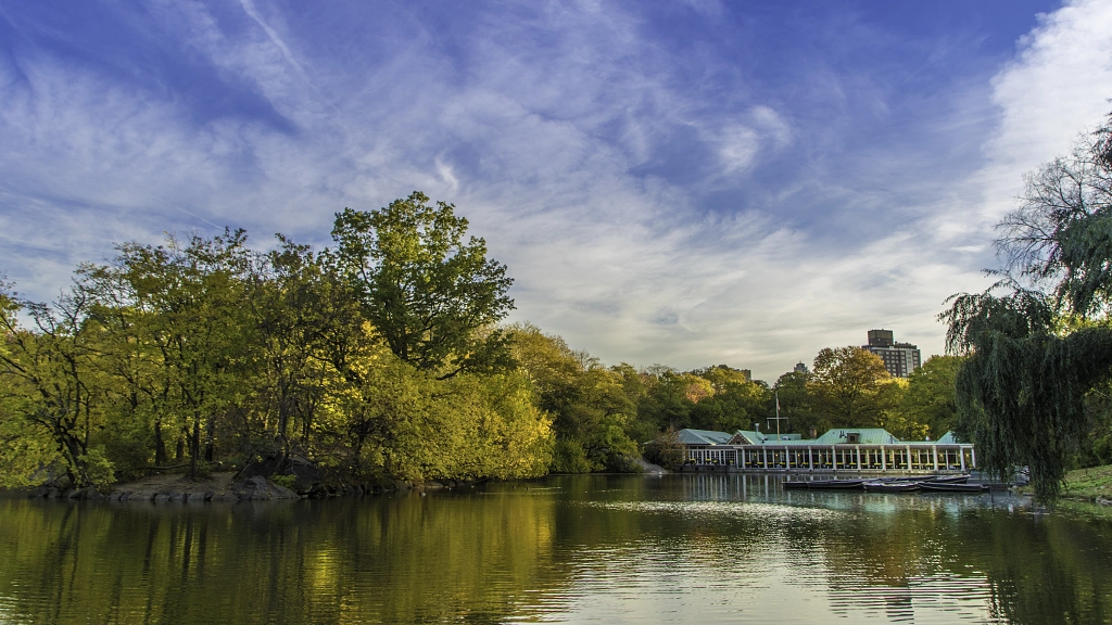 Central Park in NYC by Masato Nogami on 500px.com