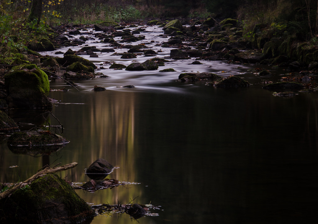 weisseritz von dirk derbaum auf 500px.com
