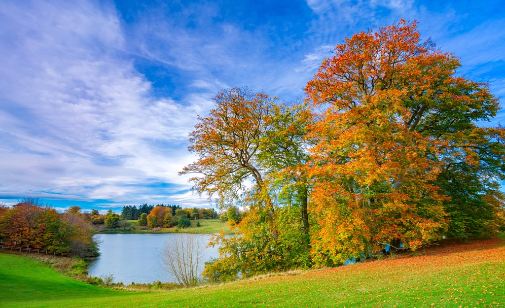 Untitled by Robert Bilinski on 500px.com