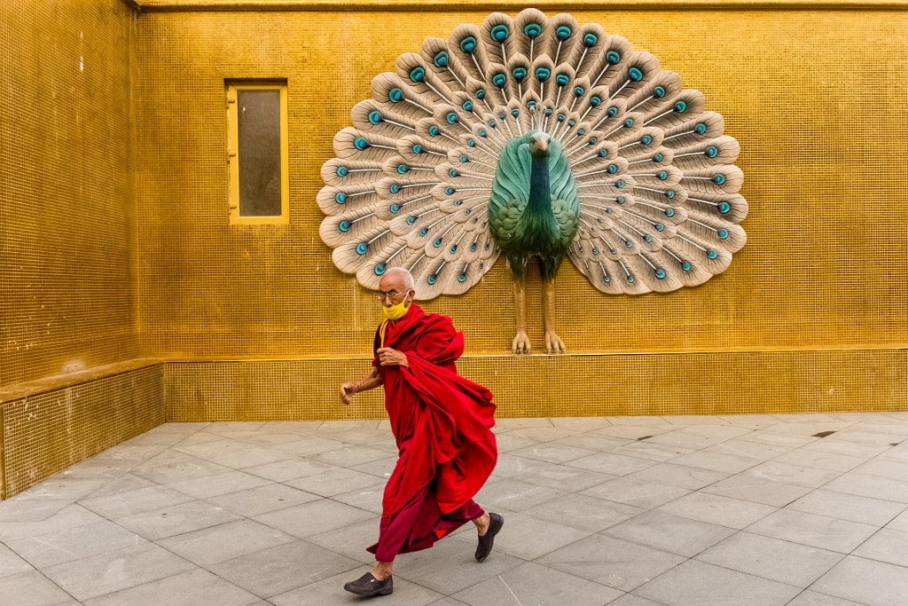 Happy Monks by Md Johirul Islam on 500px.com