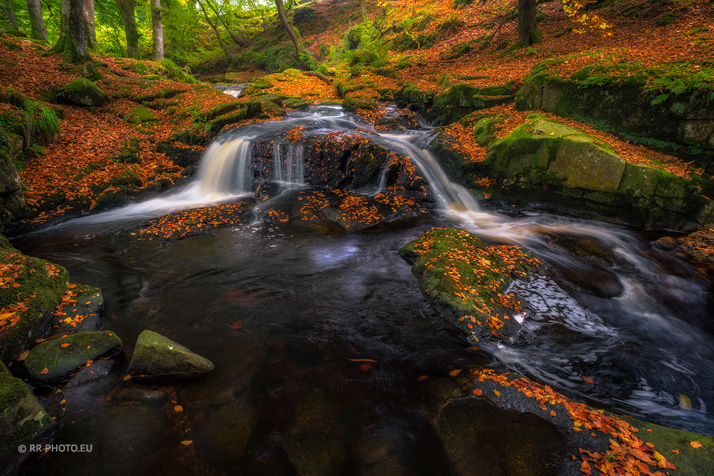 Cloghleagh River in Wicklow Mountains - Ireland 🇮🇪 by Rafal Różalski on 500px.com