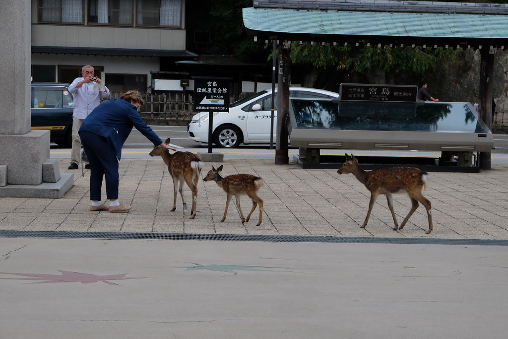 DSCF by SophiaHo on 500px.com