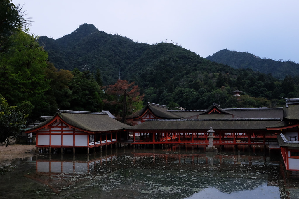 DSCF by SophiaHo on 500px.com