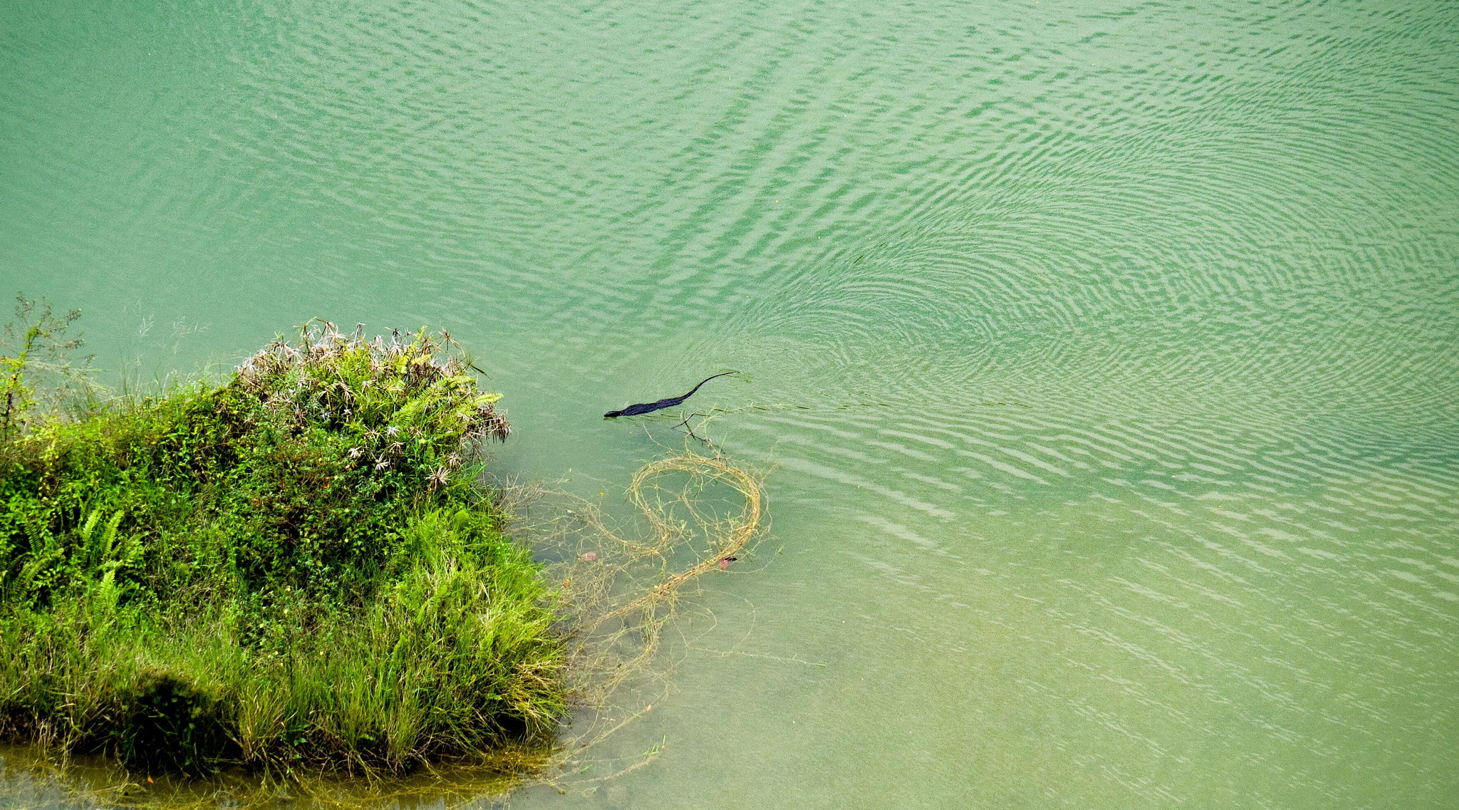 v2?sig=06bc904f38e0050108fcdf3edc6fe6d54d466168ba79b5519c7b4d89b0fb0bd0