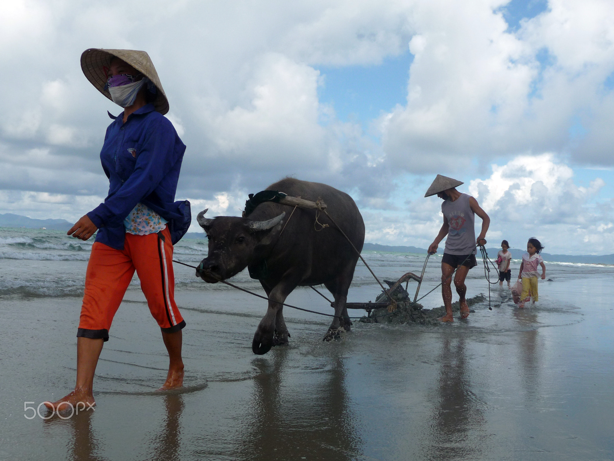 Farmers on CoTo beach