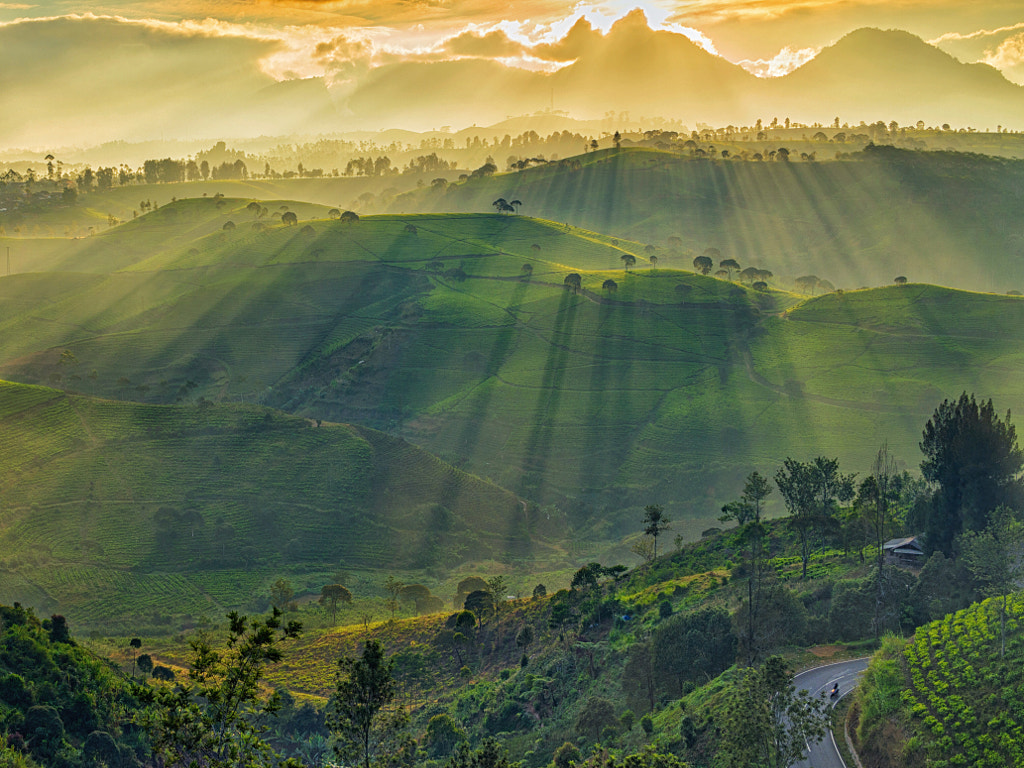 Glorious Rays of Light by Kristianus Setyawan on 500px.com