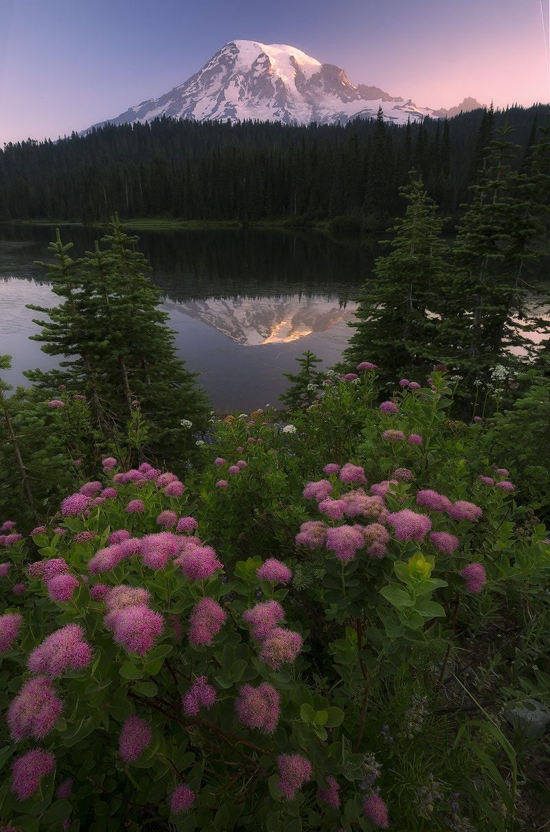 v2?sig=e3cce1b0d0a6fa85f004434773f6f51b9d03bdbf5f15627aac37c6857b296ec0