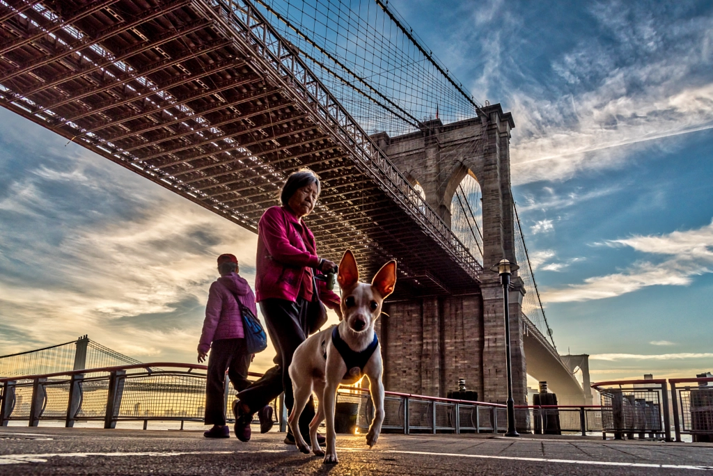 New York City Images