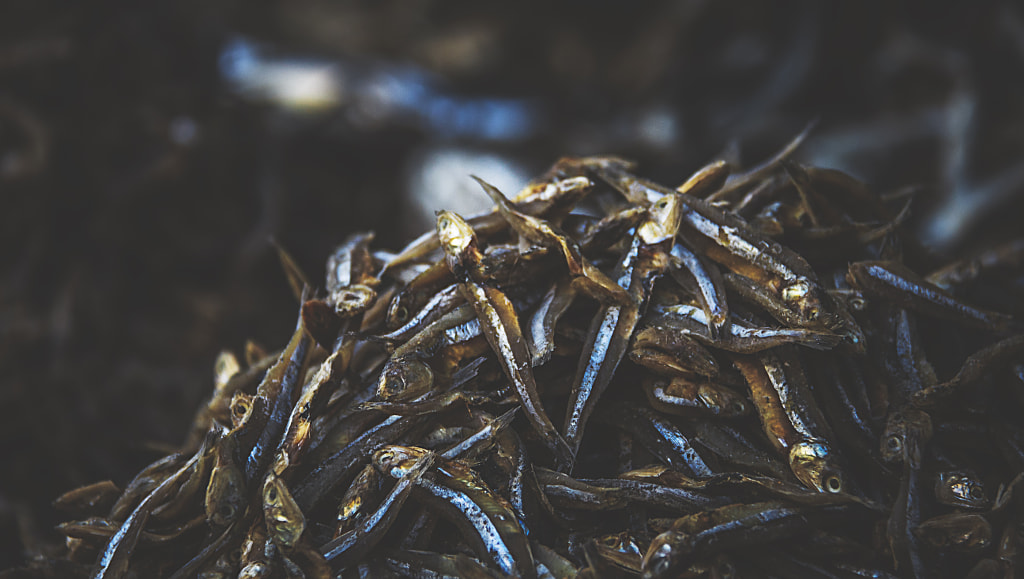 Sprats by Son of the Morning Light on 500px.com