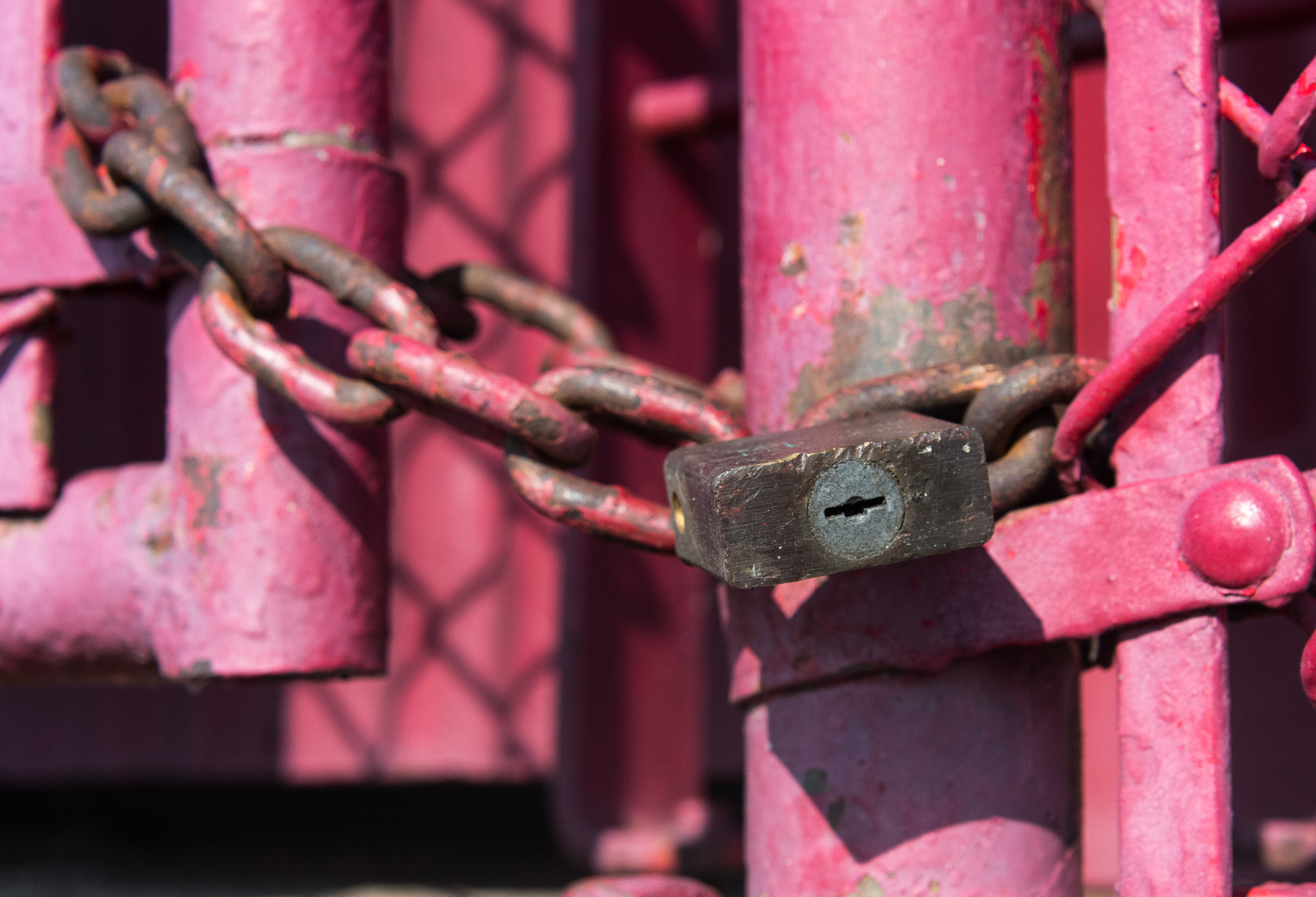 Old lock and chain on a pink fence