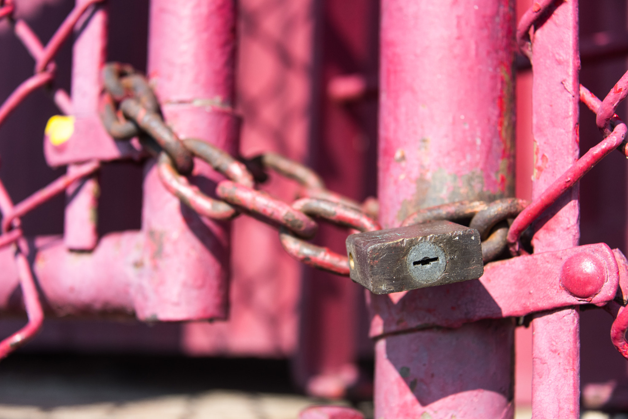 Old lock and chain on a pink fence