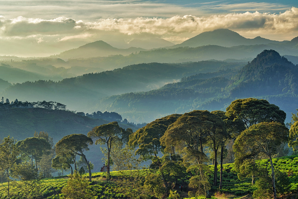 Cool Morning View by Kristianus Setyawan on 500px.com