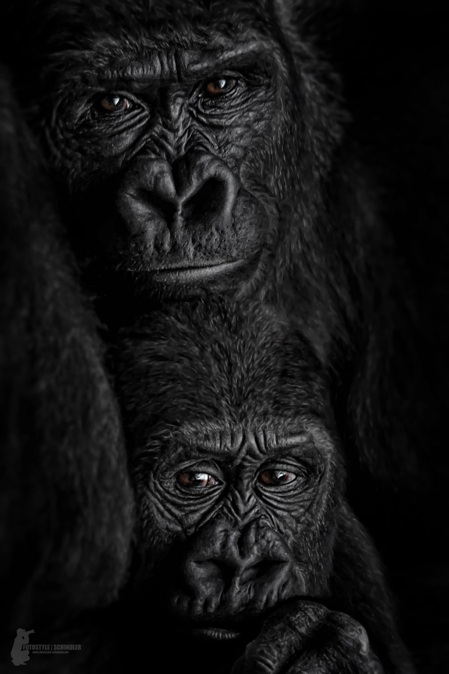 Harry Schindler (Fotostyle_Schindler) Photos / 500px - 780 x 1170 jpeg 122kB