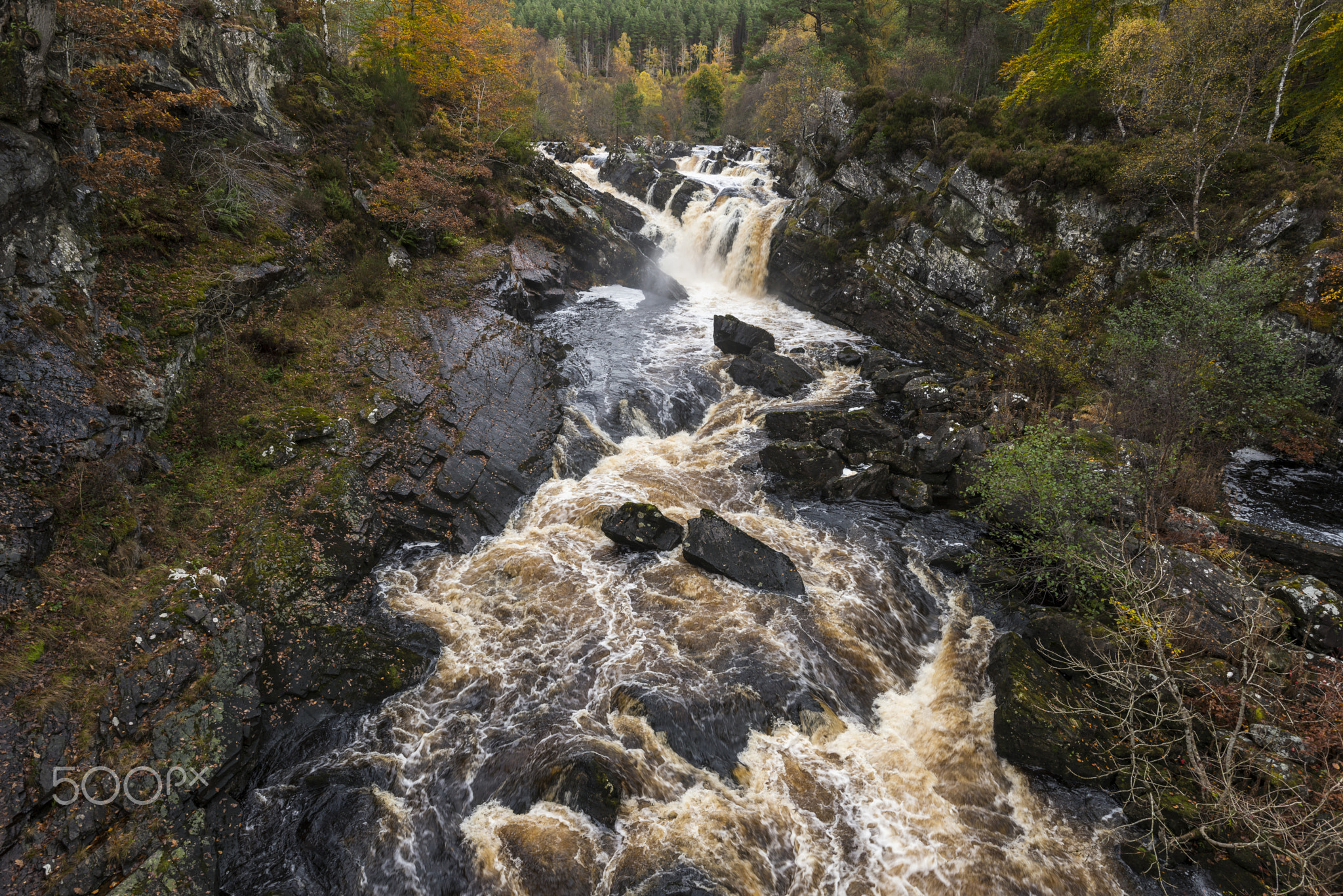 Rogie Falls