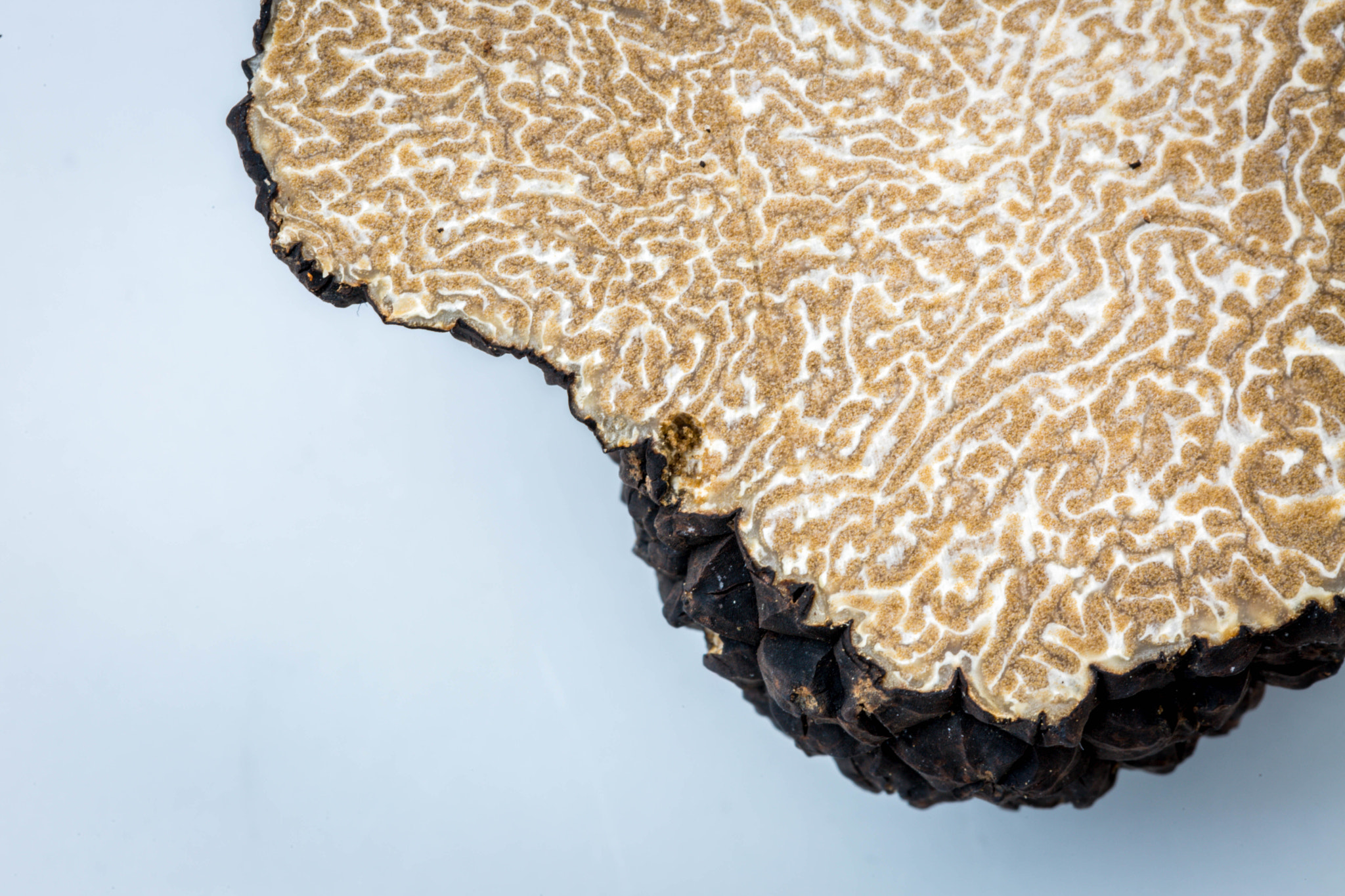 v2?sig=ea034686c1ba4c41ea8cbaa9e52d71fbf2739e8a1c5ba17e44e63bf9730ef7ef