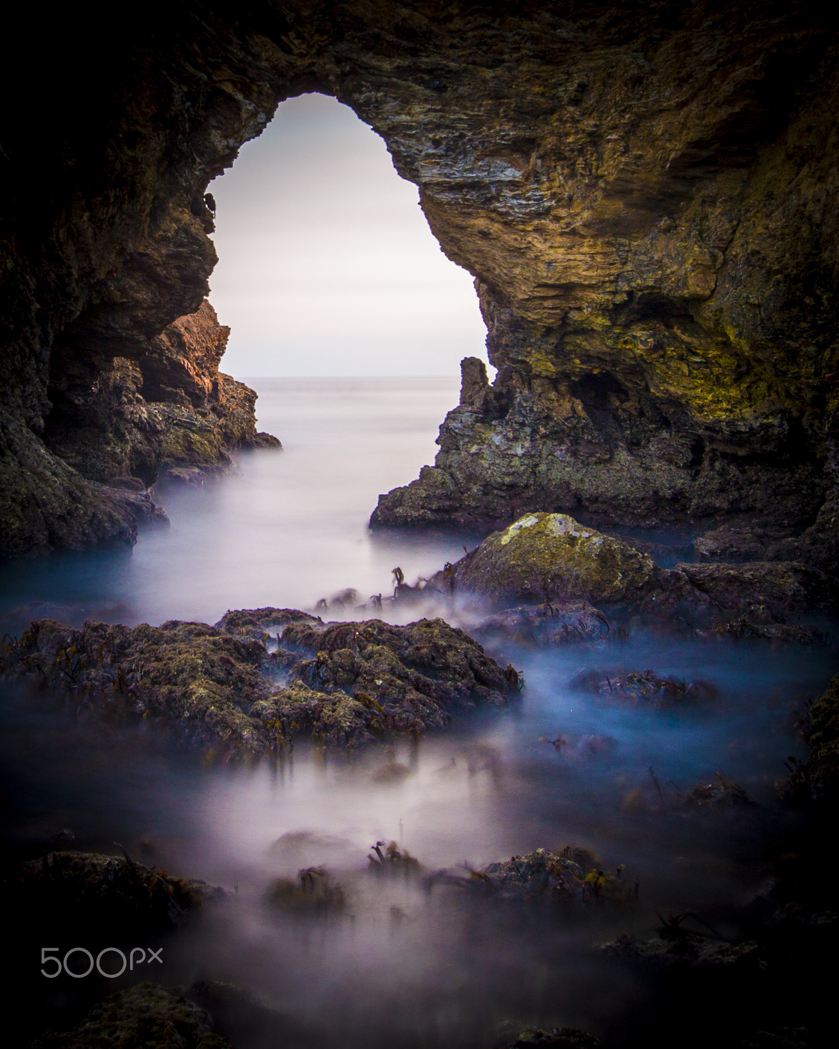The Portal