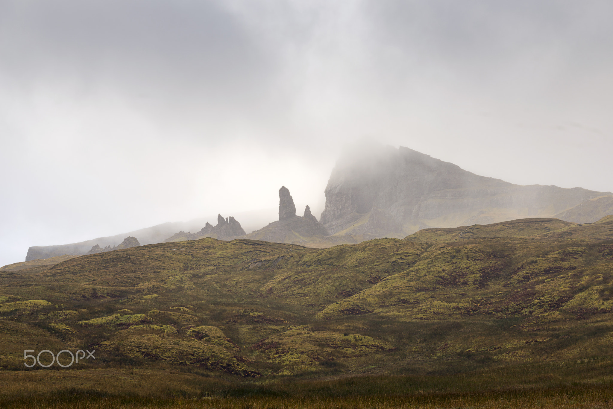 Old Man in the Mist