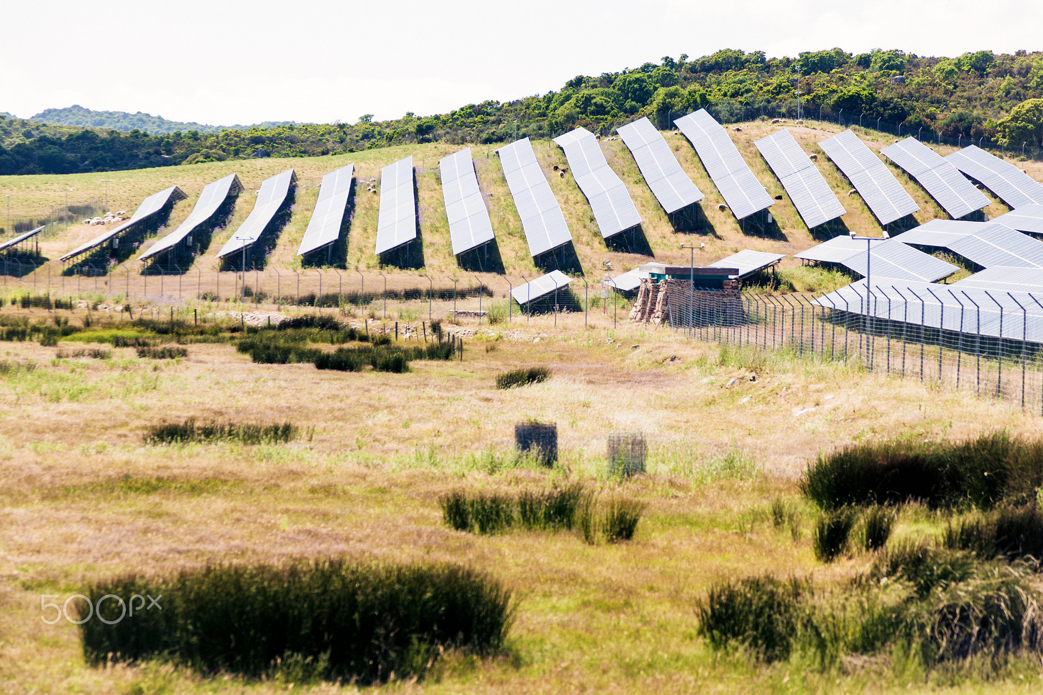 Solar Power Plant