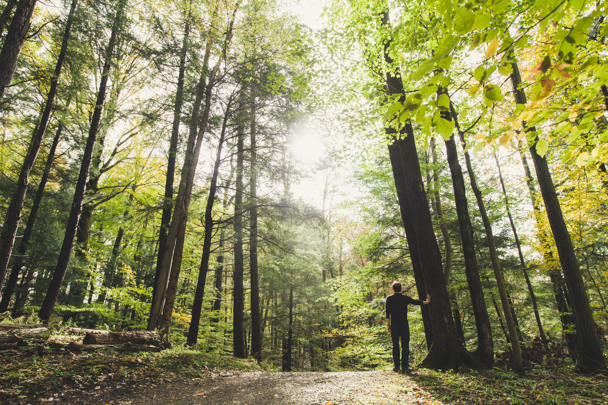 Dundas Valley Conservation