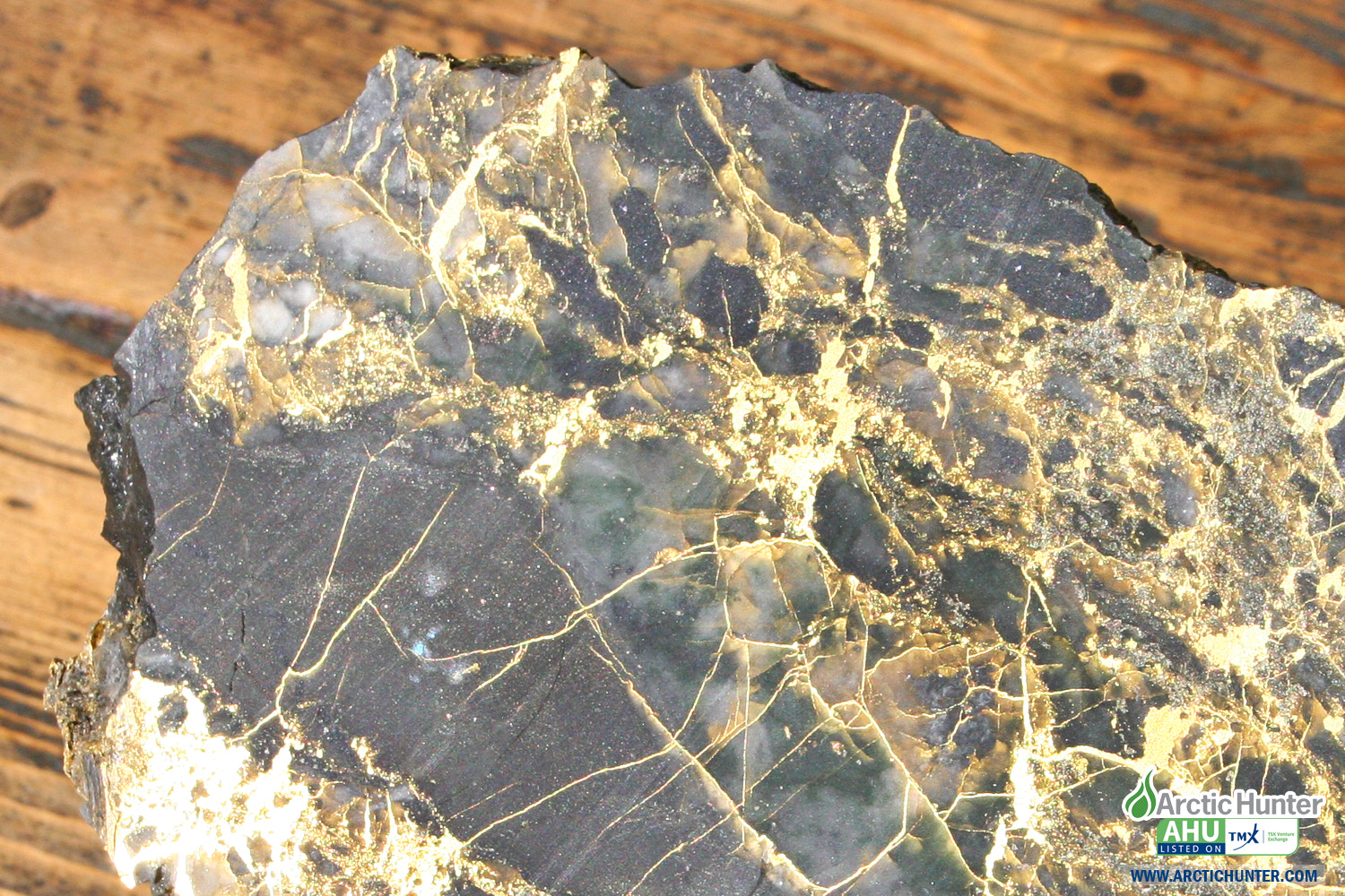 High grade gold sample © Arctic Hunter Energy Inc. (TSX-V: AHU)