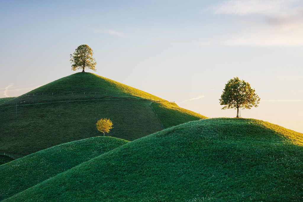Three Trees by Martin Rak on 500px.com