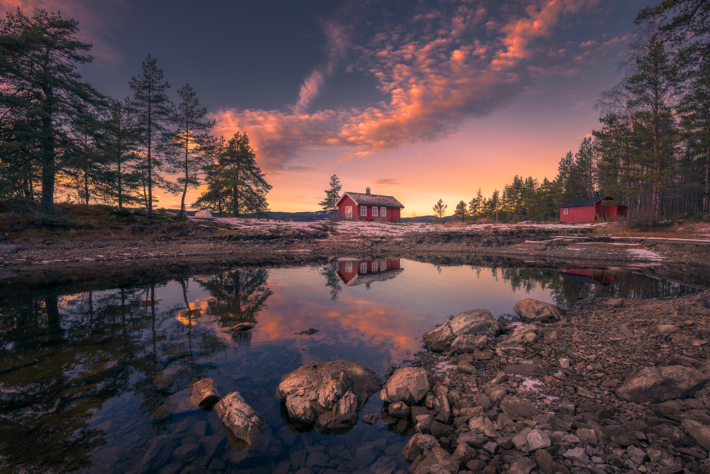 The Request by Ole Henrik Skjelstad on 500px.com