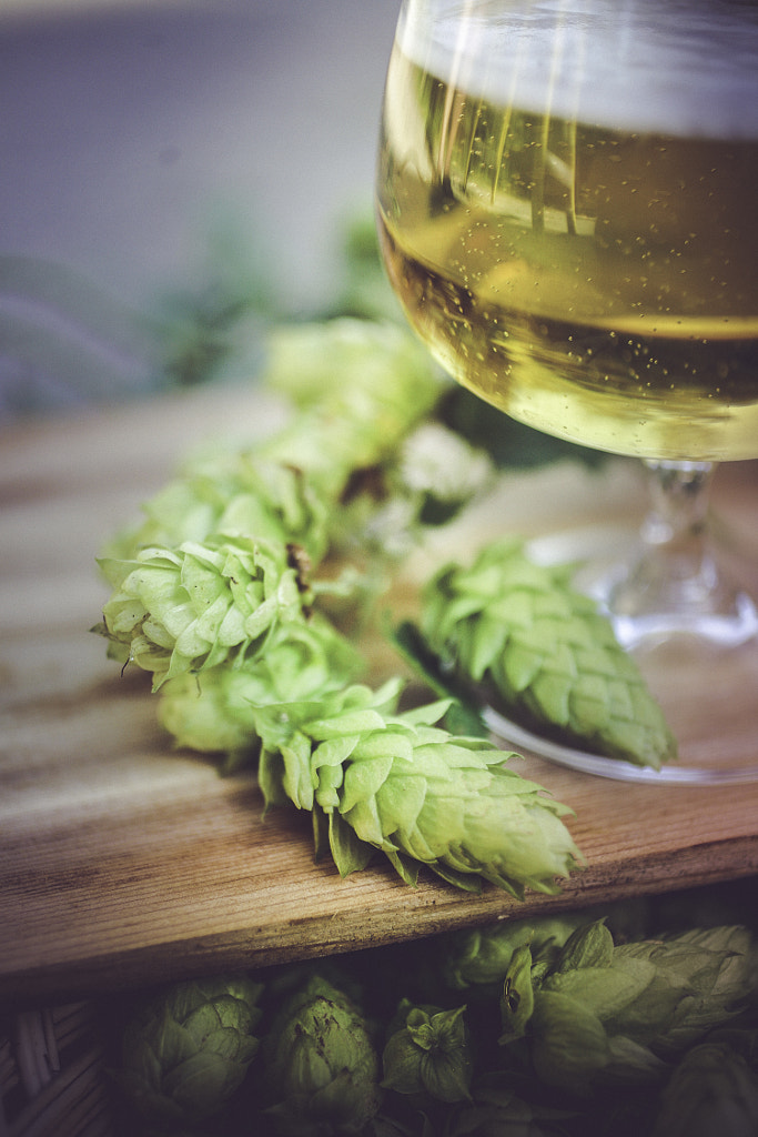 Hops detail with beer by Carrie Acosta on 500px.com