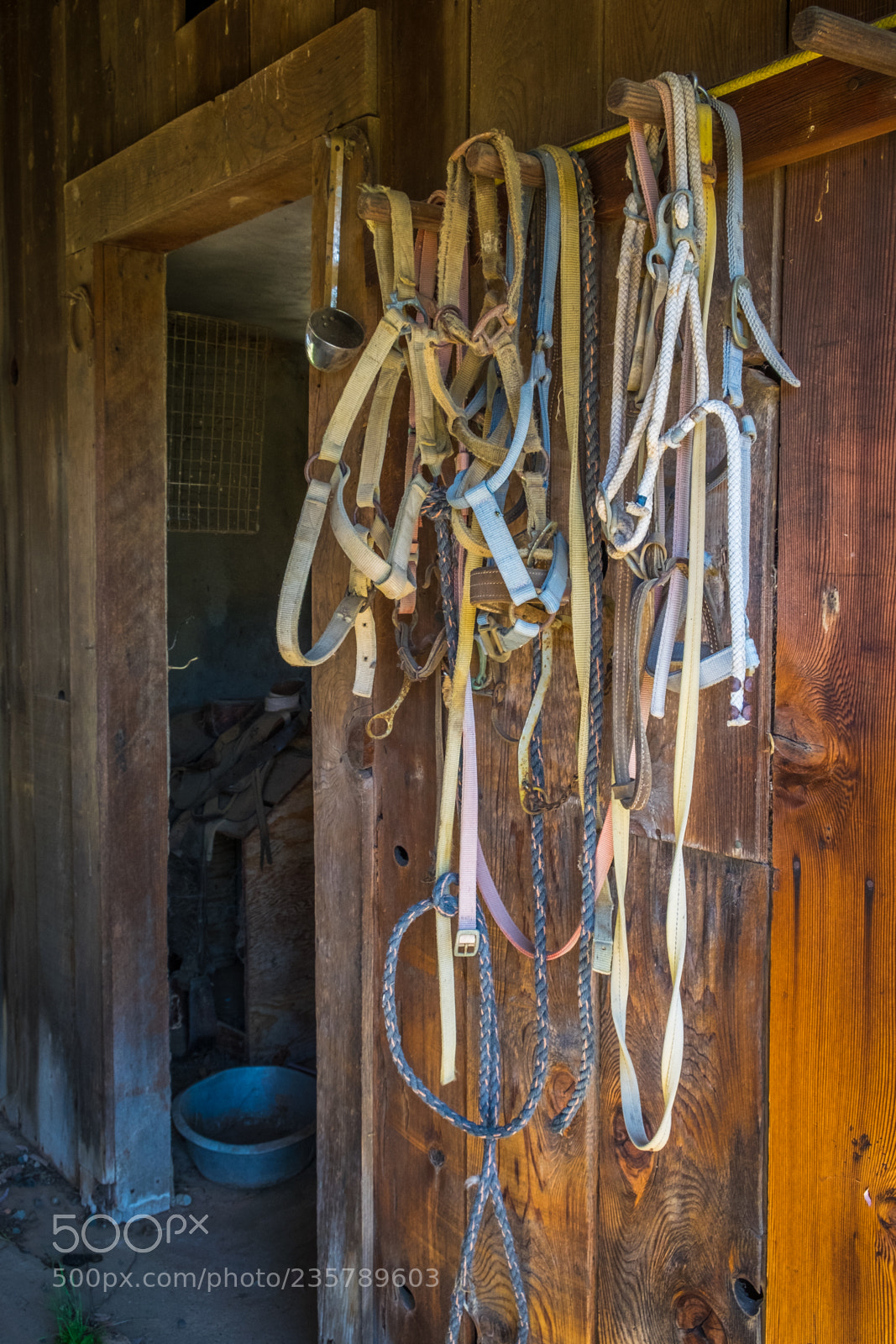 Fujifilm X-E2 sample photo. Bridles photography