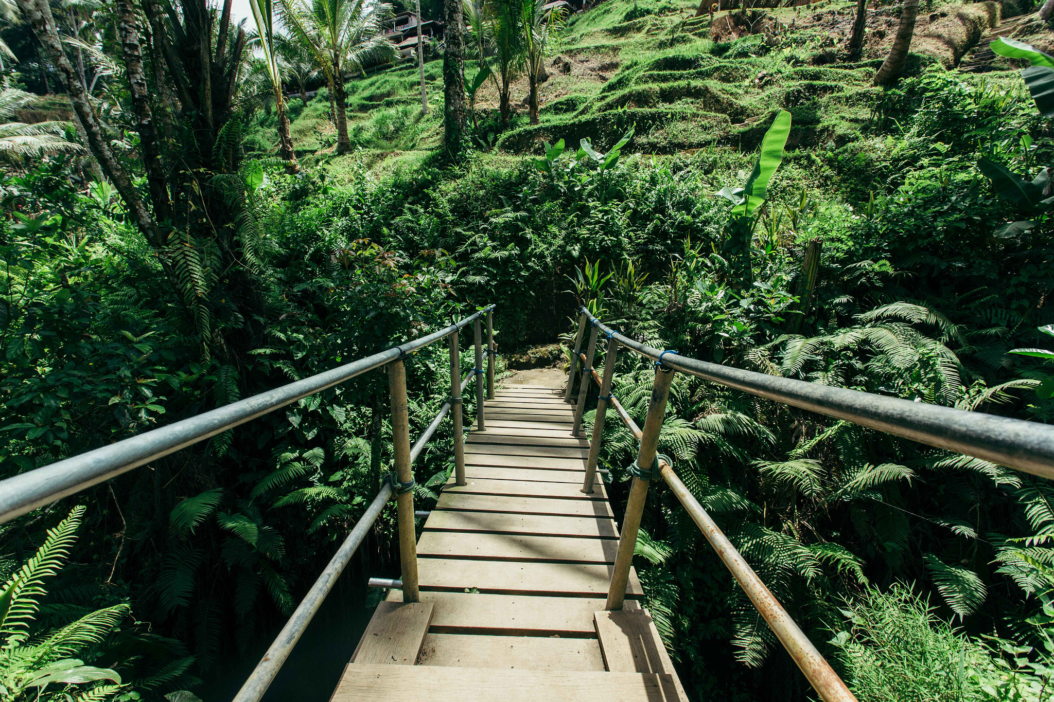 v2?sig=806b0de160f3b3c0ad8b70ea8af76d2f9beff761778627cd8470dbcd57ad31b3