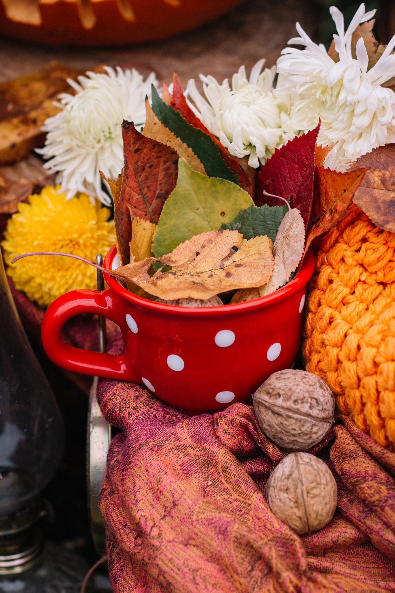 A cup of autumn