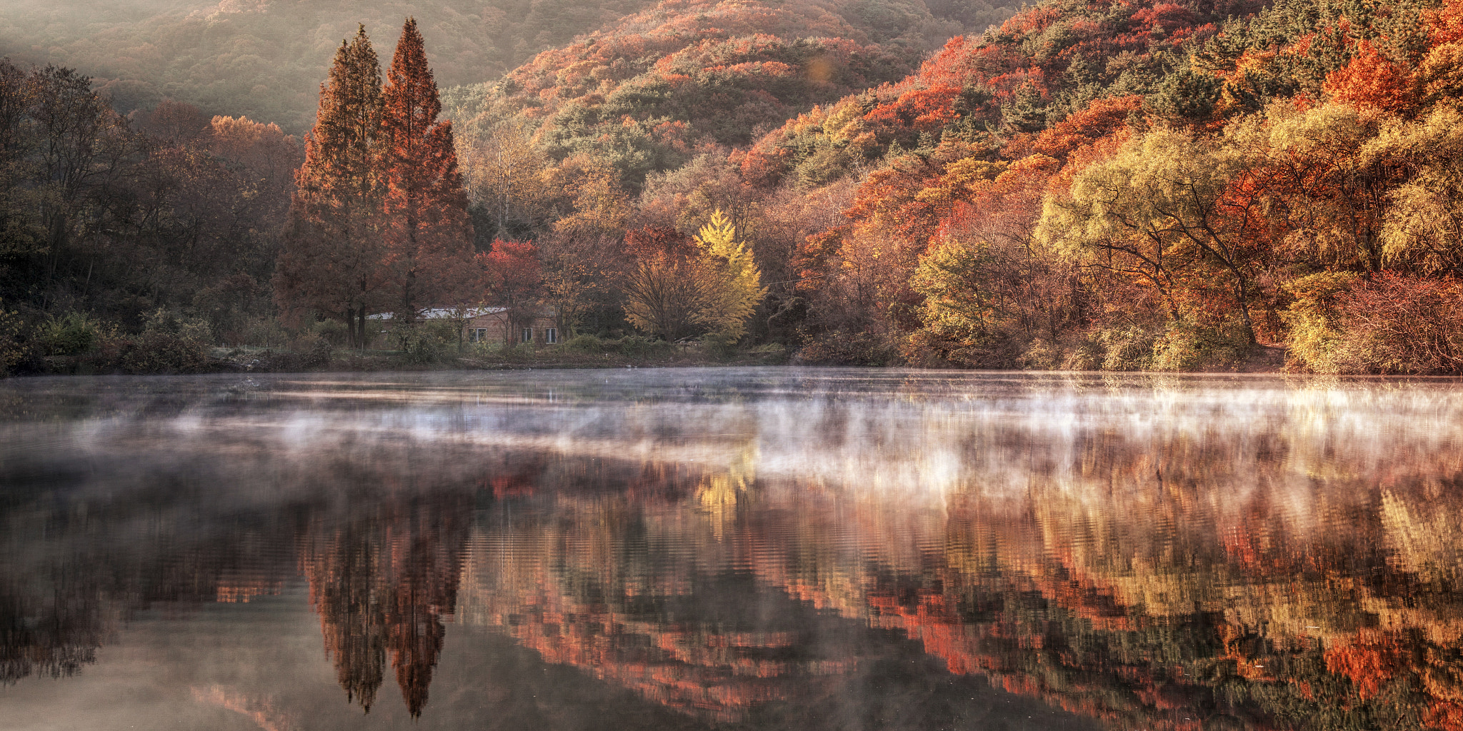 Reflect along the tide.