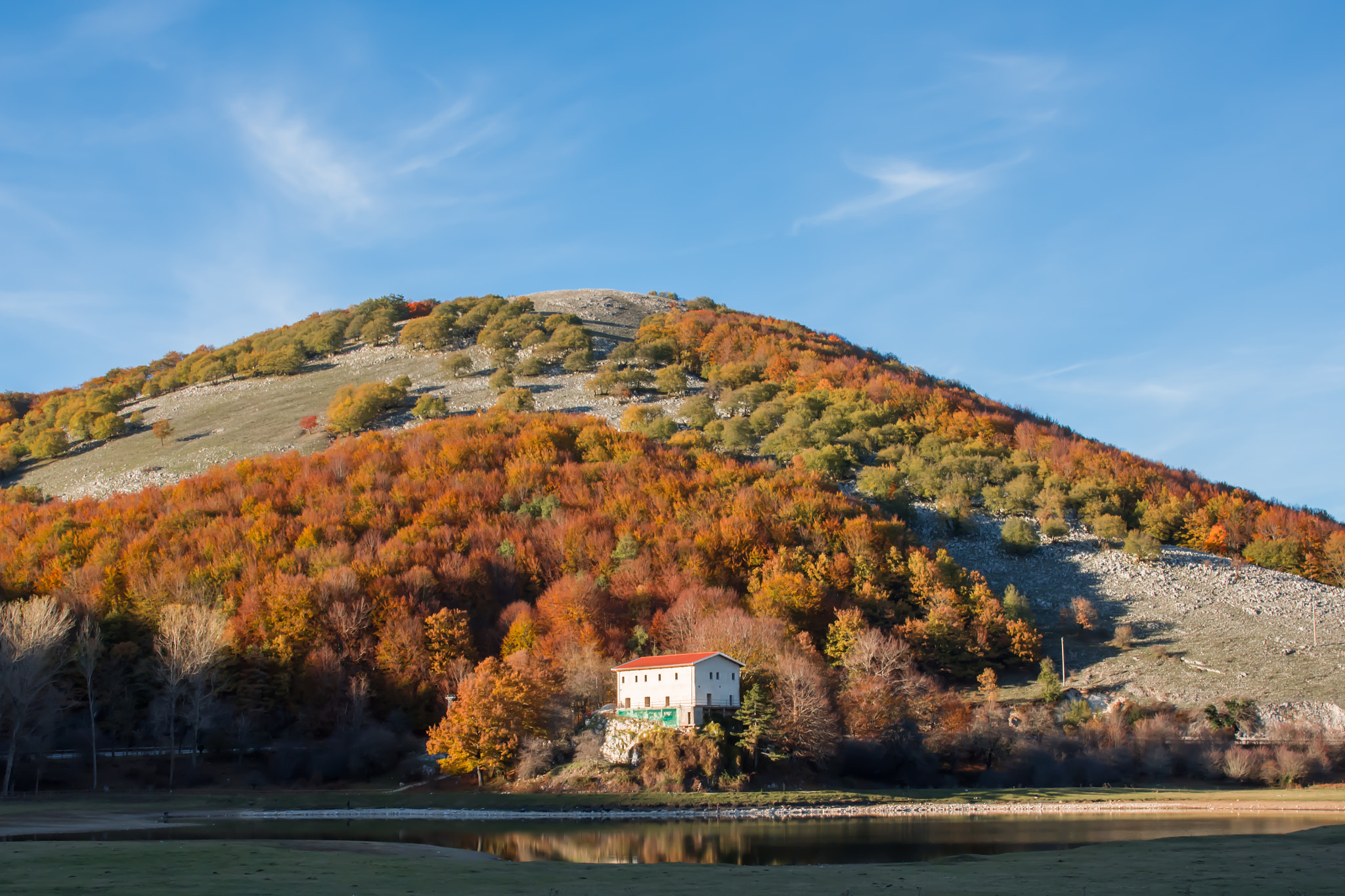 The House by the Lake