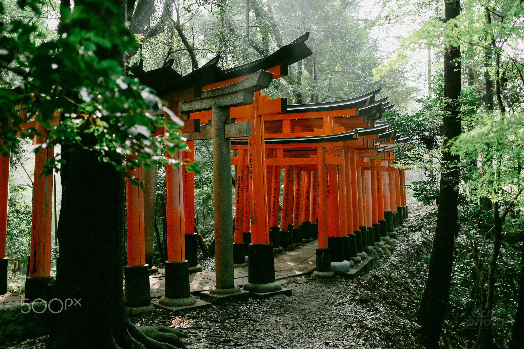 Japan Autumn 2017